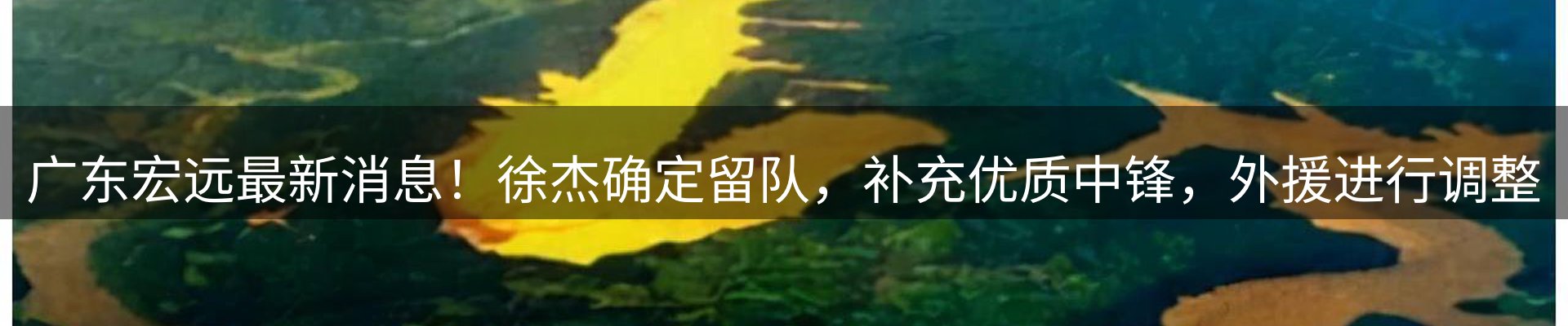 新闻资讯